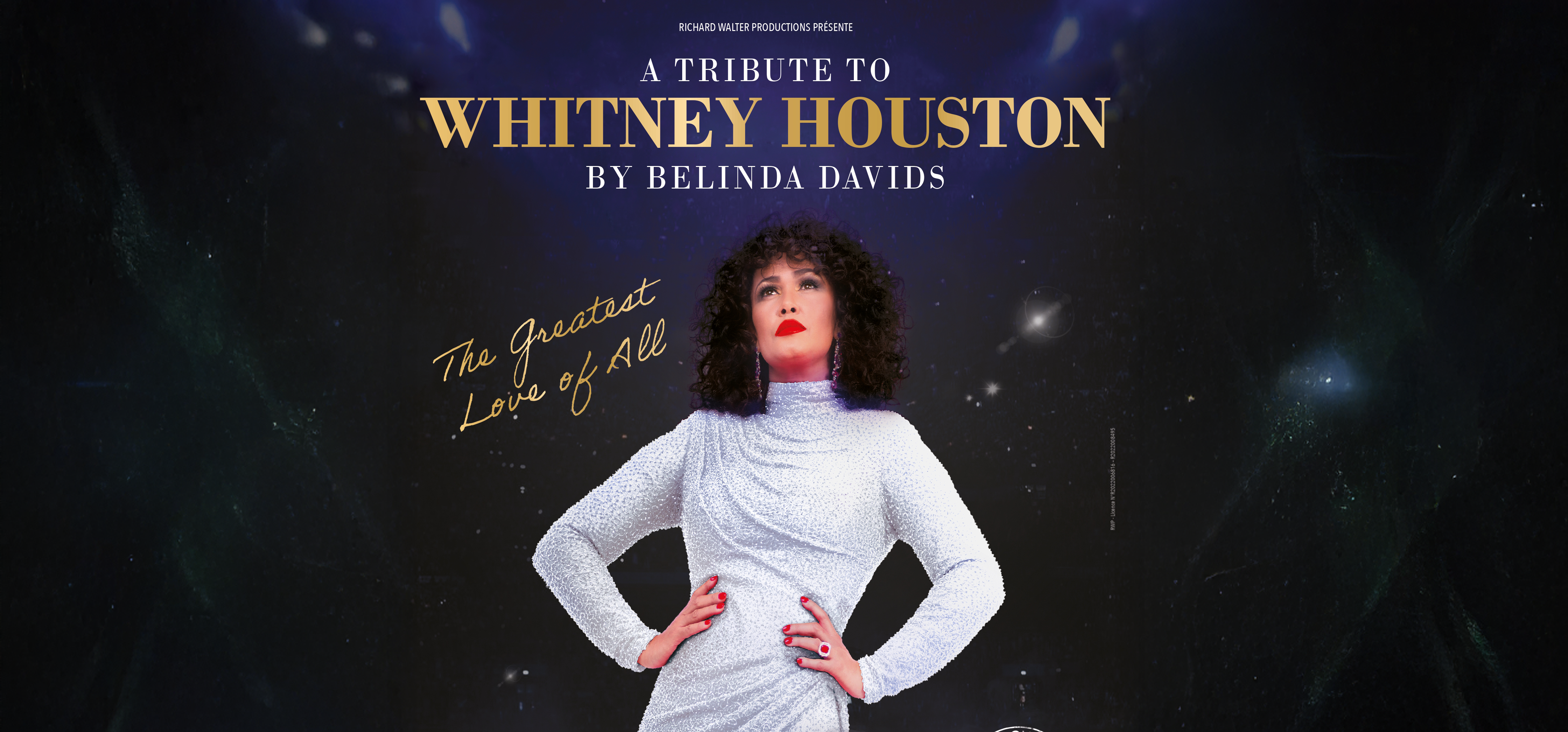 Whitney Houston by Belinda Davids